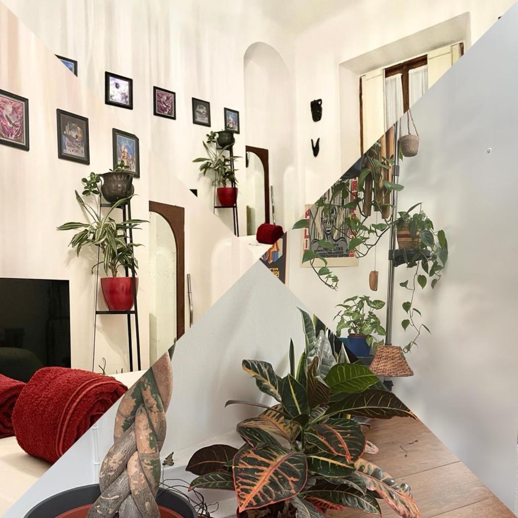 La Stanza Della Giungla Apartment Milan Exterior photo